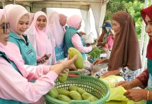 Ketua PKK Parepare Andi Arfiah Tasming Ajak Pelaku Usaha Parepare Go Digital untuk Perluas Pasar