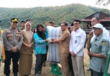 Sekda Amarun Agung Hamka: Pesta Panen Bukti Pertanian Parepare Tetap Produktif