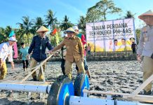 Pertanian Parepare Masuk Era Modern, Tasming Hamid Hadiri Tanam Perdana PM AAS